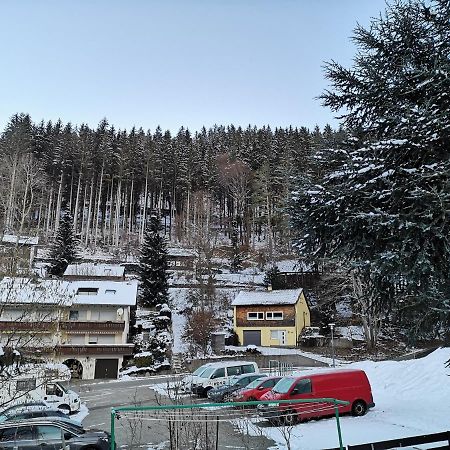 Ferien Am Wald Apartman Baiersbronn Kültér fotó