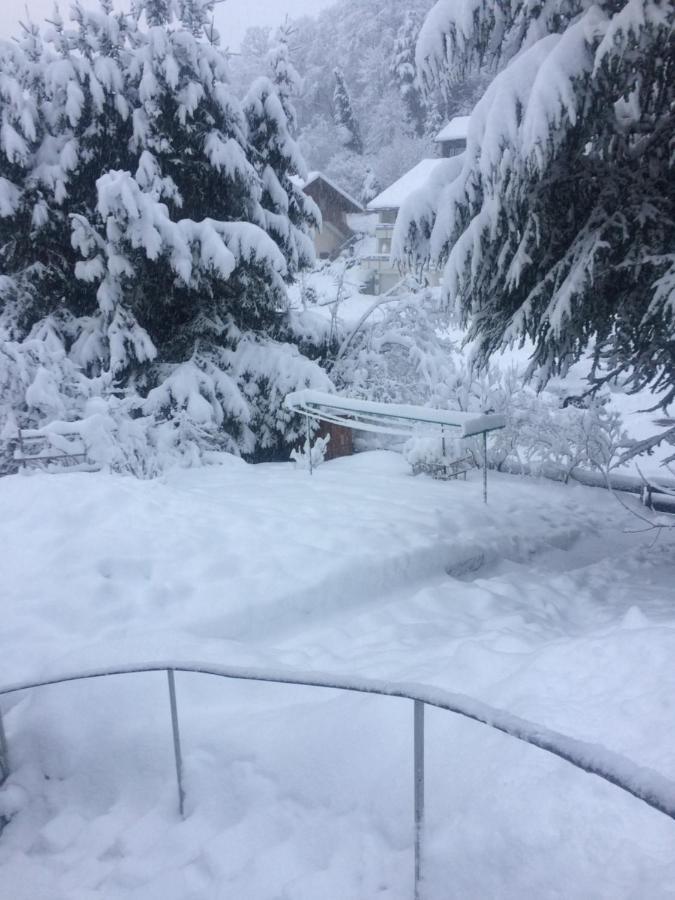 Ferien Am Wald Apartman Baiersbronn Kültér fotó